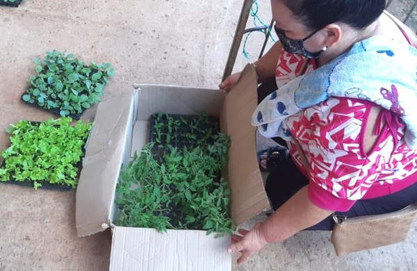 Guairá: Familias reciben insumos en el marco del Proyecto “Mi Huerta” - Noticiero Paraguay