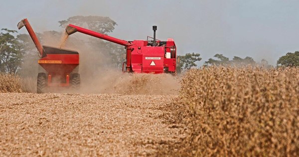 La Nación / Marroquíes muestran interés por la soja y maíz paraguayo