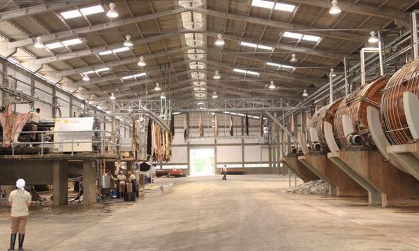 Exportación de cuero en alza