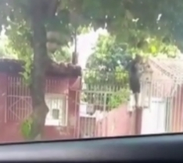Vecinos están hartos de la inseguridad en el barrio Pettirossi - Paraguay.com