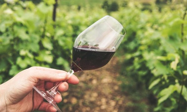 Empresa ofrece 10.000 dólares al mes y vivienda gratis por trabajar en una bodega en California