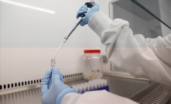 Laboratorio privado que detectó la variante P1 en el país estudia la circulación de otras variantes | Ñanduti