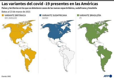 El crítico panorama de Brasil por covid se extiende a países vecinos - Mundo - ABC Color