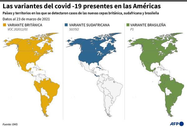 El crítico panorama de Brasil por covid se extiende a países vecinos - Mundo - ABC Color