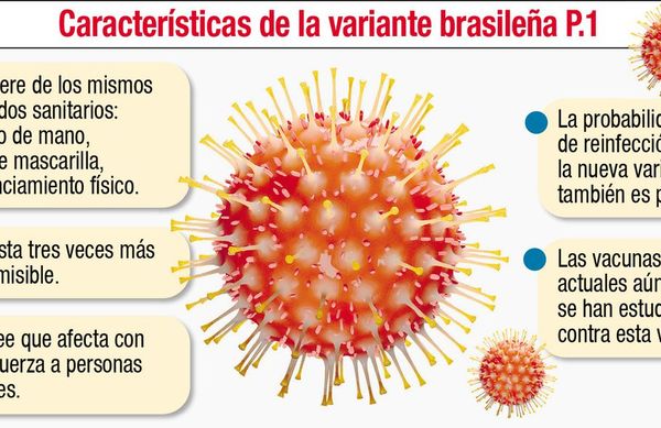 Variante brasileña ya circula en casi todo el país - Nacionales - ABC Color