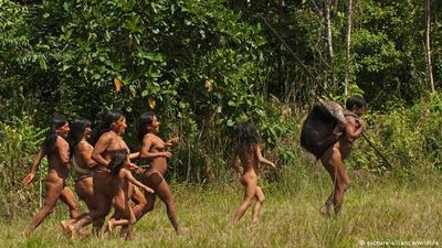 Pueblos indígenas, mejores guardianes de los bosques en América Latina