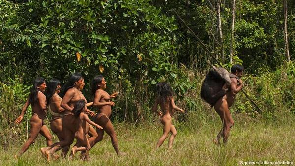 Pueblos indígenas, mejores guardianes de los bosques en América Latina
