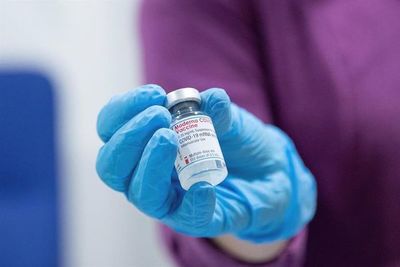 Vacunas de Pfizer y Moderna son efectivas en mujeres embarazadas y lactantes - Mundo - ABC Color