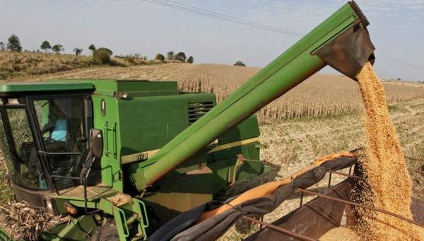 TRAS CINCO AÑOS DE PAUSA, TAIWÁN Y PARAGUAY BUSCAN REACTIVAR EL COMERCIO DE LA SOJA
