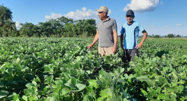 Biotecnología incrementa rendimiento en el campo