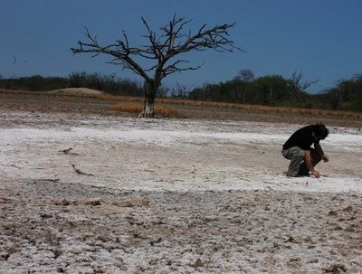 Se esperaría un invierno con pocas lluvias, según meteorólogo · Radio Monumental 1080 AM