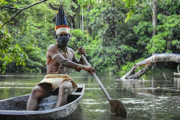 Porqué los pueblos indígenas son los mejores guardianes de bosques en América Latina