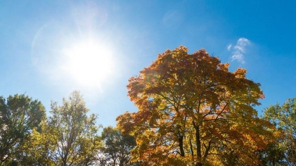 Anuncian otoño “poco riguroso” y sequías | Noticias Paraguay