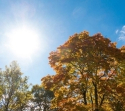 Anuncian otoño "poco riguroso" y sequías - Paraguay.com