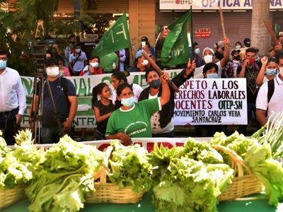 Buscan aval que  incorpore otras frutas a la merienda escolar,  además de la banana