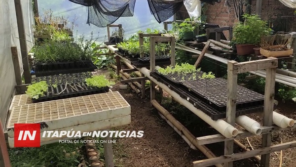 UNIVERSIDAD SAN CARLOS APOYA LAS HUERTAS URBANAS Y OFRECE PLANTINES DE HORTALIZAS.