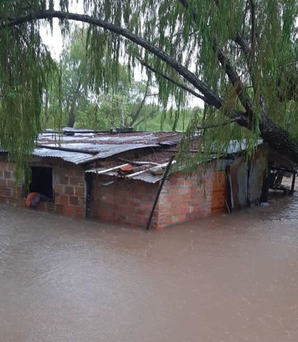 Al menos 100 viviendas amanecieron inundadas en Alberdi - Nacionales - ABC Color