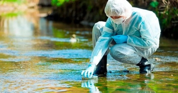 Según un estudio, el COVID-19 ya circulaba en aguas de Brasil antes de que se detectara en China - Megacadena — Últimas Noticias de Paraguay