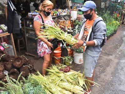 Semana Santa: Bendición de palmas llegará a los que luchan contra Covid