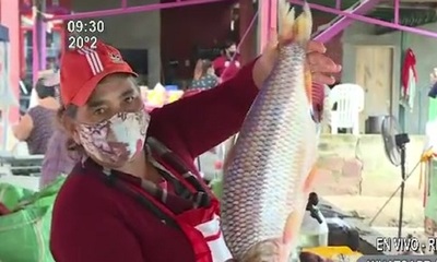 Gran variedad de pescados para los platillos de esta Semana Santa - SNT