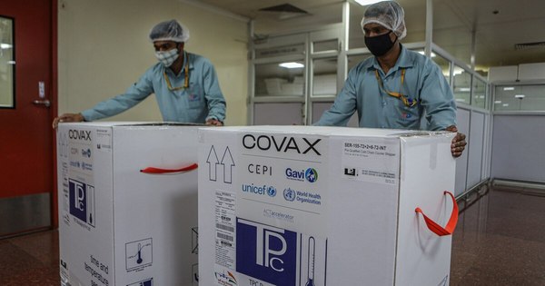 La Nación / Argentina recibe primer embarque de vacunas del mecanismo Covax