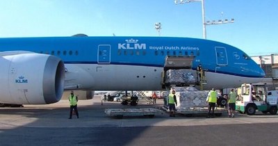 La Nación / Llegaron ayer las vacunas por Covax