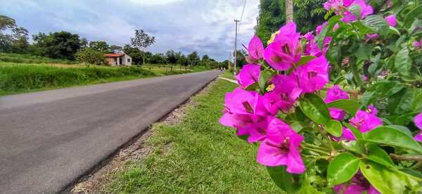 Más de 23.000 cordilleranos ya cuentan con nueva conexión de todo tiempo con la ruta PY03 | .::Agencia IP::.