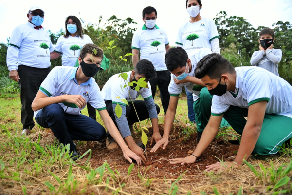 Campaña Heñói cerró la primera semana con más de 8.300 arbolitos plantados | .::Agencia IP::.