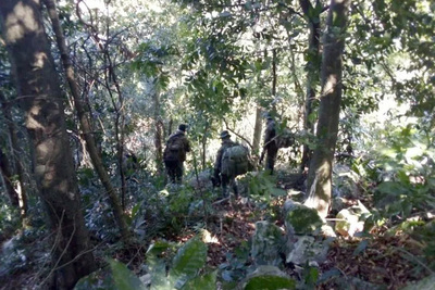 Queman retiro de una estancia en Arroyito, Concepción - Judiciales.net