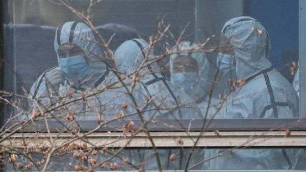 OMS: Transmisión del COVID-19 vía animal es muy probable
