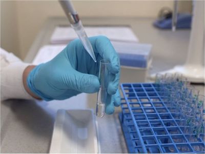 Diseñan una prueba portátil capaz de detectar Covid y la variante
