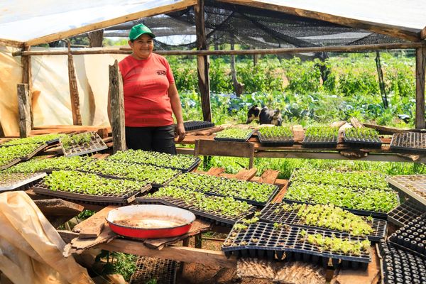 Movimiento global de emprendedores sociales reconoce a Paraguay por el fortalecimiento de la protección social | .::Agencia IP::.