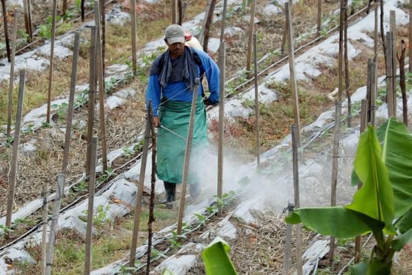 Unas 400.000 personas perdieron su trabajo en Honduras en 2020 por la pandemia - MarketData