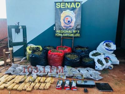 Senad incauta más de 80 kilos de marihuana de una vivienda en Pedro Juan Caballero