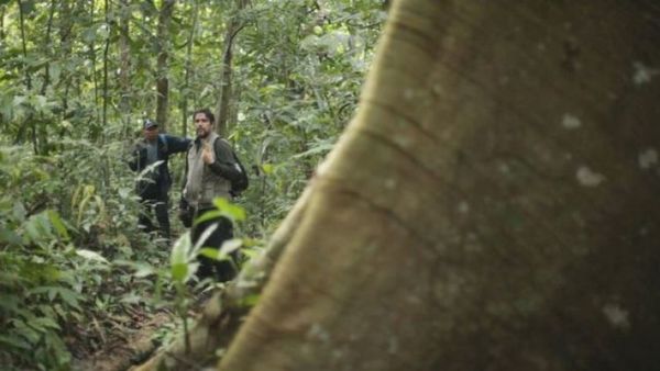 Unicef: paso de menores por peligrosa selva del Darién se multiplicó por 15