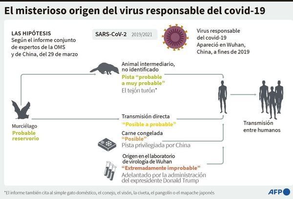 OMS considera “improbable” que virus  haya escapado de laboratorio - Mundo - ABC Color