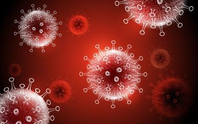 El enviado especial de la OMS admite que es “difícil” hallar origen del virus - Mundo - ABC Color