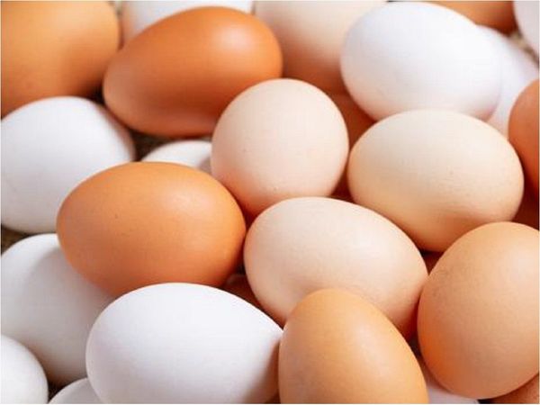 Productores denuncian masivo ingreso ilegal de huevos al país
