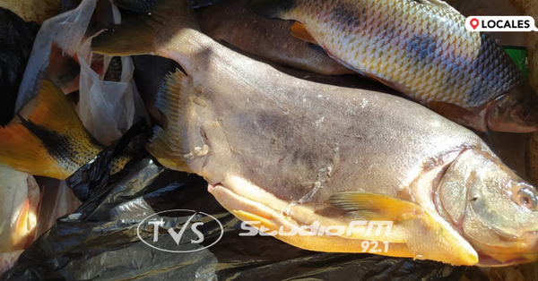 DESDE AYOLAS VENDEDORES SE ACERCAN A OFRECER PESCADOS FRESCOS