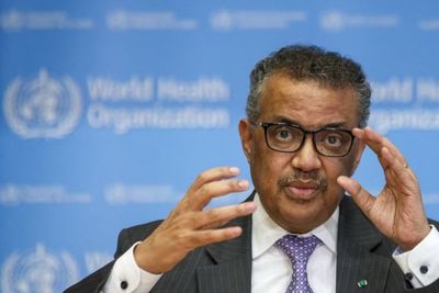 El jefe de la OMS ordenó una investigación más profunda sobre el posible origen del coronavirus en el laboratorio de Wuhan
