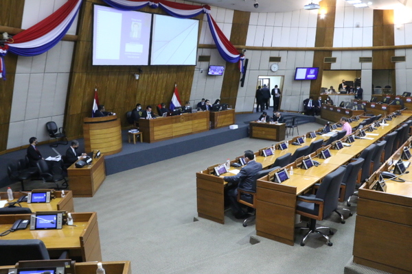 Diputados aprueba retirar la confianza al representante de la OPS/OMS