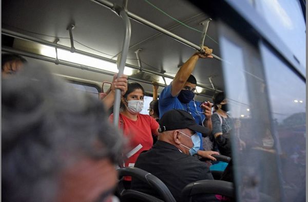 Cartistas y abdistas salvan a los transportistas y sus “reguladas” - Nacionales - ABC Color