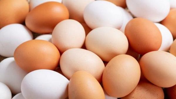 Productores denuncian masivo ingreso ilegal de huevos al país