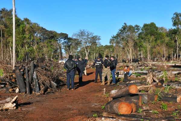 Disponen juicio oral para sindicados de deforestar propiedad de Itaipu en Puerto Indio