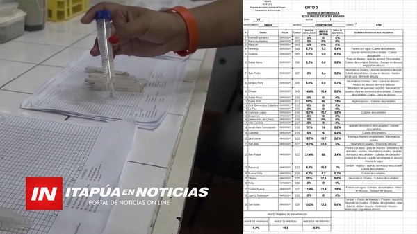 SENEPA EN ALERTA POR ALTO ÍNDICE LARVARIO EN ITAPÚA