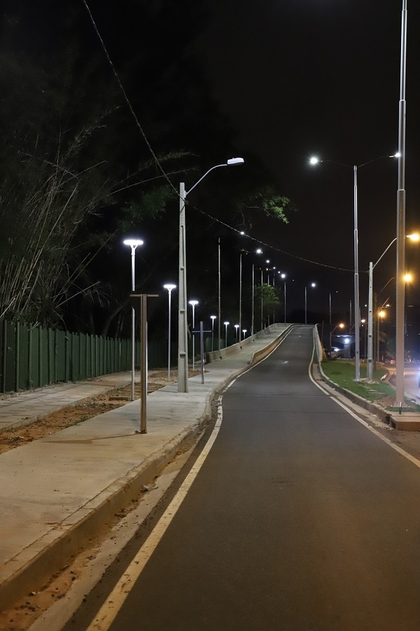 Reponen cableado subterráneo y luces en el Corredor Vial Botánico | El Independiente