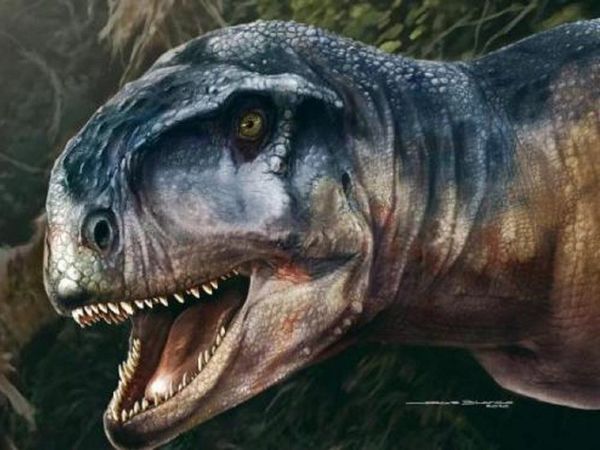 Hallan una nueva especie de dinosaurio carnívoro en Argentina
