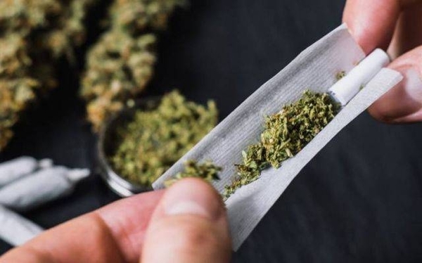 Diario HOY | Nueva York legaliza la marihuana para uso recreativo