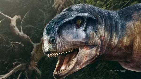 Hallan una nueva especie de dinosaurio carnívoro en Argentina