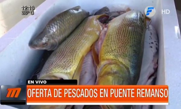 Oferta de pescados en Puente Remanso - Telefuturo